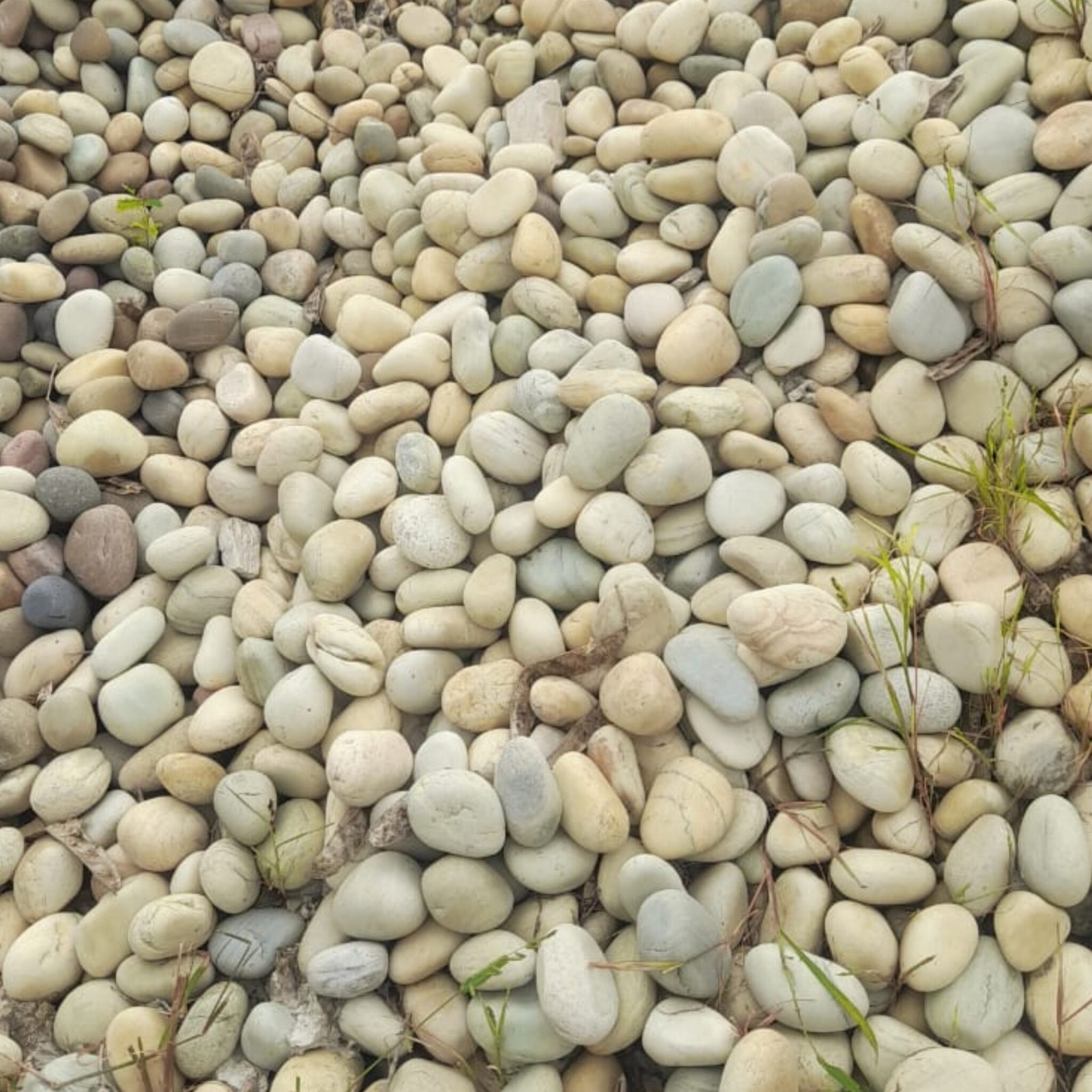 Sweet Pebbles Rocks No.1 Stone & Rock Pebbles Distributor in Karnataka, Tamil Nadu & Kerala
