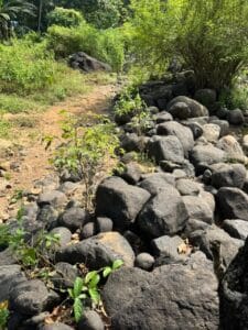 Decorative stones around a water fountain in a garden