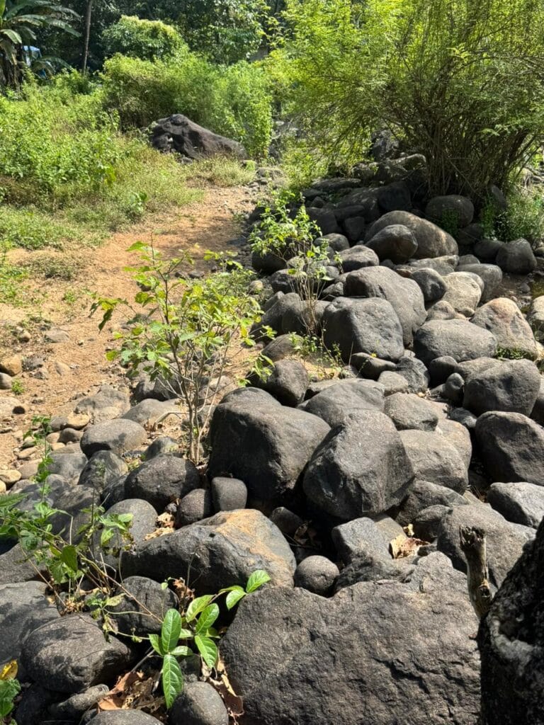 Decorative stones around a water fountain in a garden