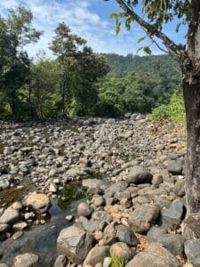 Boulder stones used for backyard garden decoration