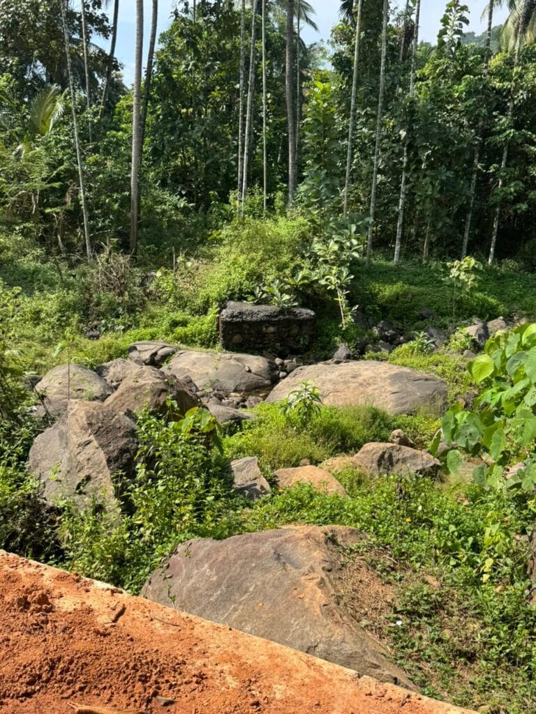 Garden Rocks in Bangalore – Premium Supply for Landscaping &amp; Home Gardens