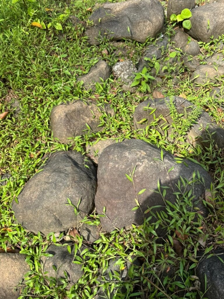 Garden Rocks in Bangalore – Premium Supply for Landscaping &amp; Home Gardens