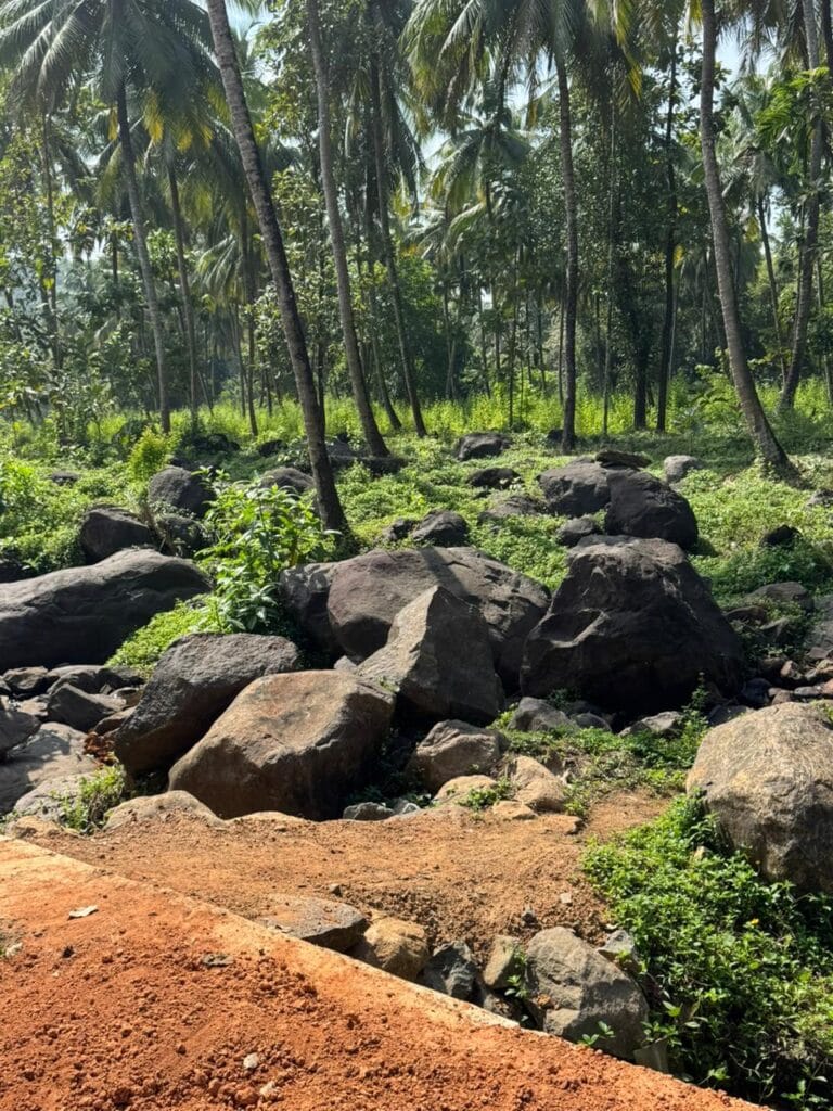 Garden Rocks in Bangalore – Premium Supply for Landscaping &amp; Home Gardens