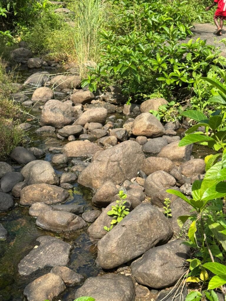 Garden Rocks in Bangalore – Premium Supply for Landscaping &amp; Home Gardens