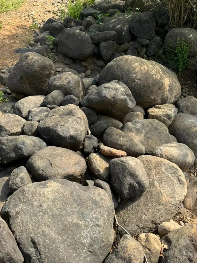 Decorative rock border for front yard plants