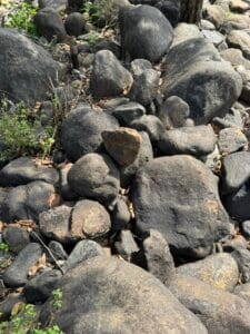 Garden stones for low-maintenance landscaping