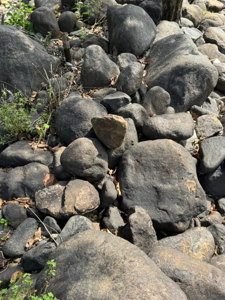 Garden stones for low-maintenance landscaping
