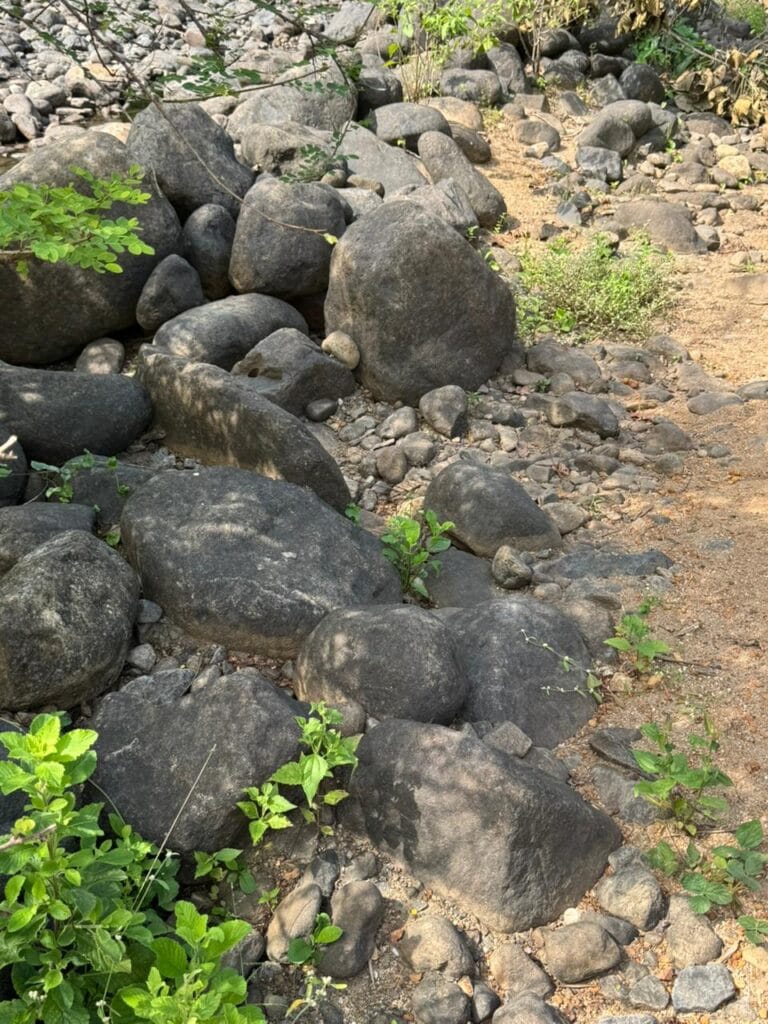 Large natural rocks creating a landscape border