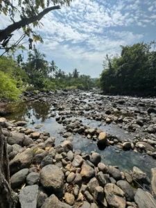 Boulder rocks used in Zen and Japanese style garden