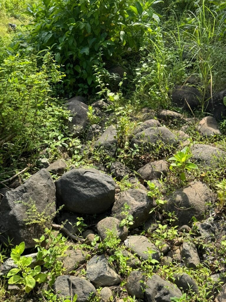 Garden Rocks in Bangalore – Premium Supply for Landscaping &amp; Home Gardens