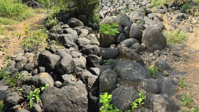 Garden Rocks in Bangalore – Premium Supply for Landscaping & Home Gardens