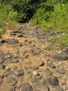 Pebbles and rocks used for modern villa landscaping