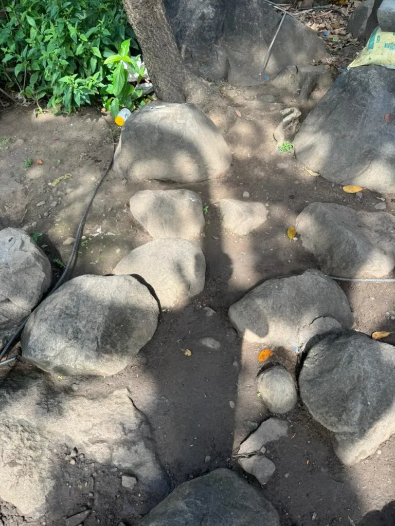 Garden Rocks in Bangalore – Premium Supply for Landscaping &amp; Home Gardens