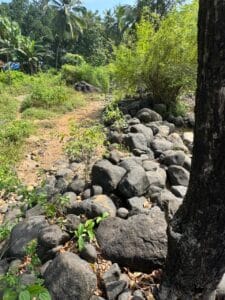 Pebbles and rocks enhancing the visual look of garden