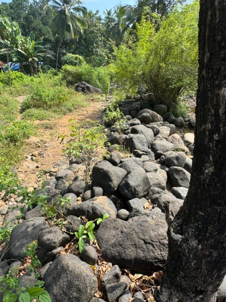 Pebbles and rocks enhancing the visual look of garden