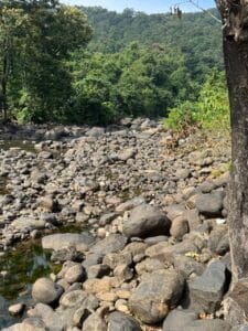 Landscaping rocks preventing weed growth around plants