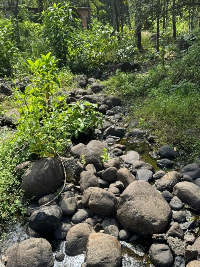 Garden Rocks in Bangalore – Premium Supply for Landscaping &amp; Home Gardens