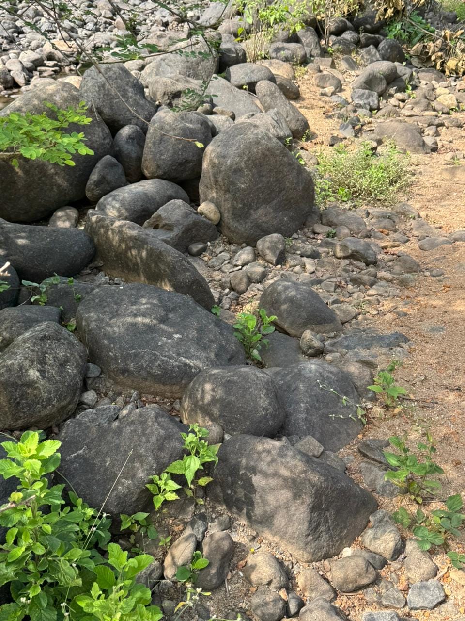 Commercial grade boulders erosion control