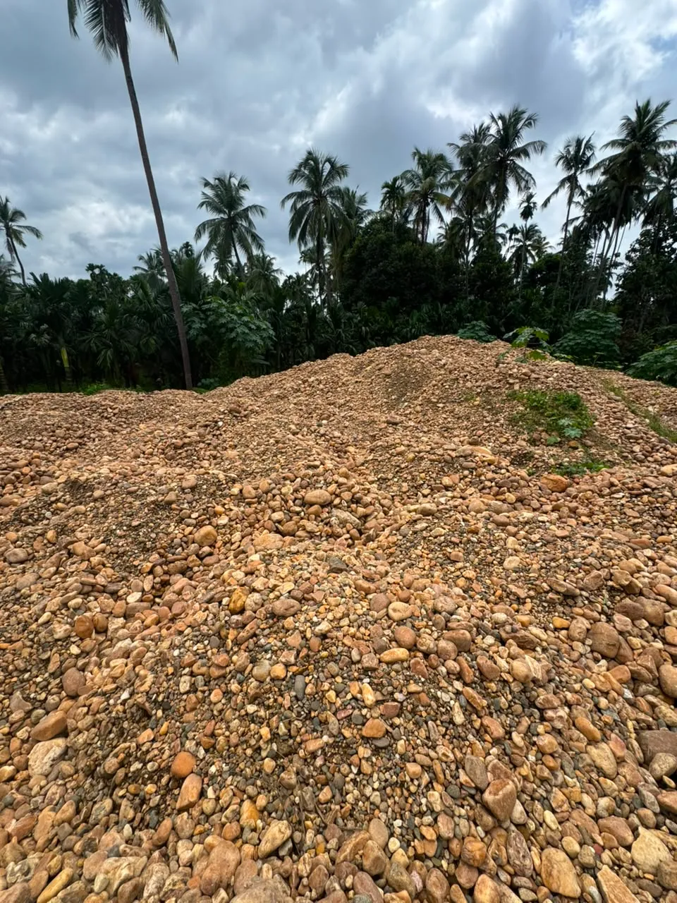 Bulk Unpolished Natural River Pebbles Wholesale